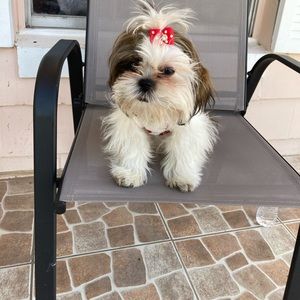 Meet your Posher, Otilia